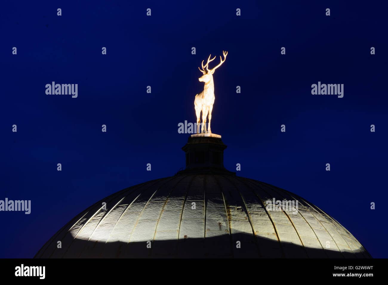 The 'Deer' Room