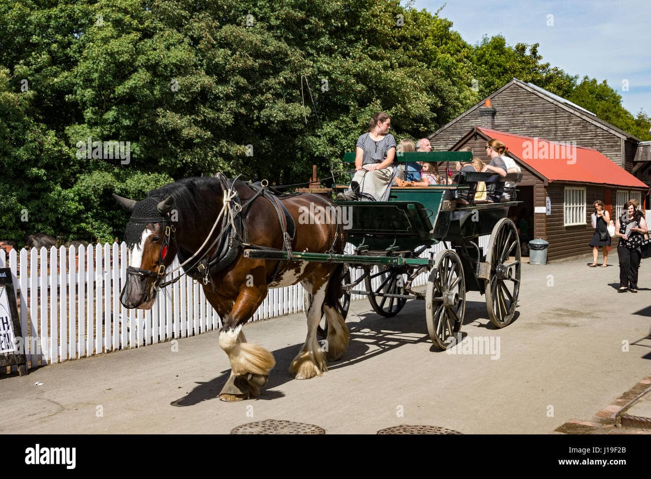 Horse-Drawn Carriage Ride