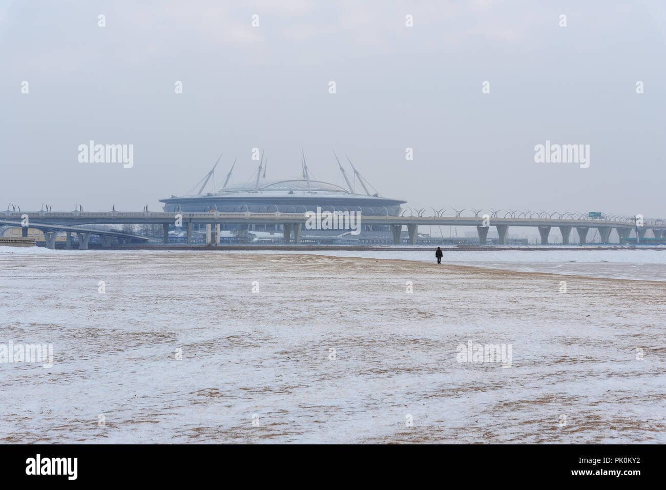 Zenit Arena Views