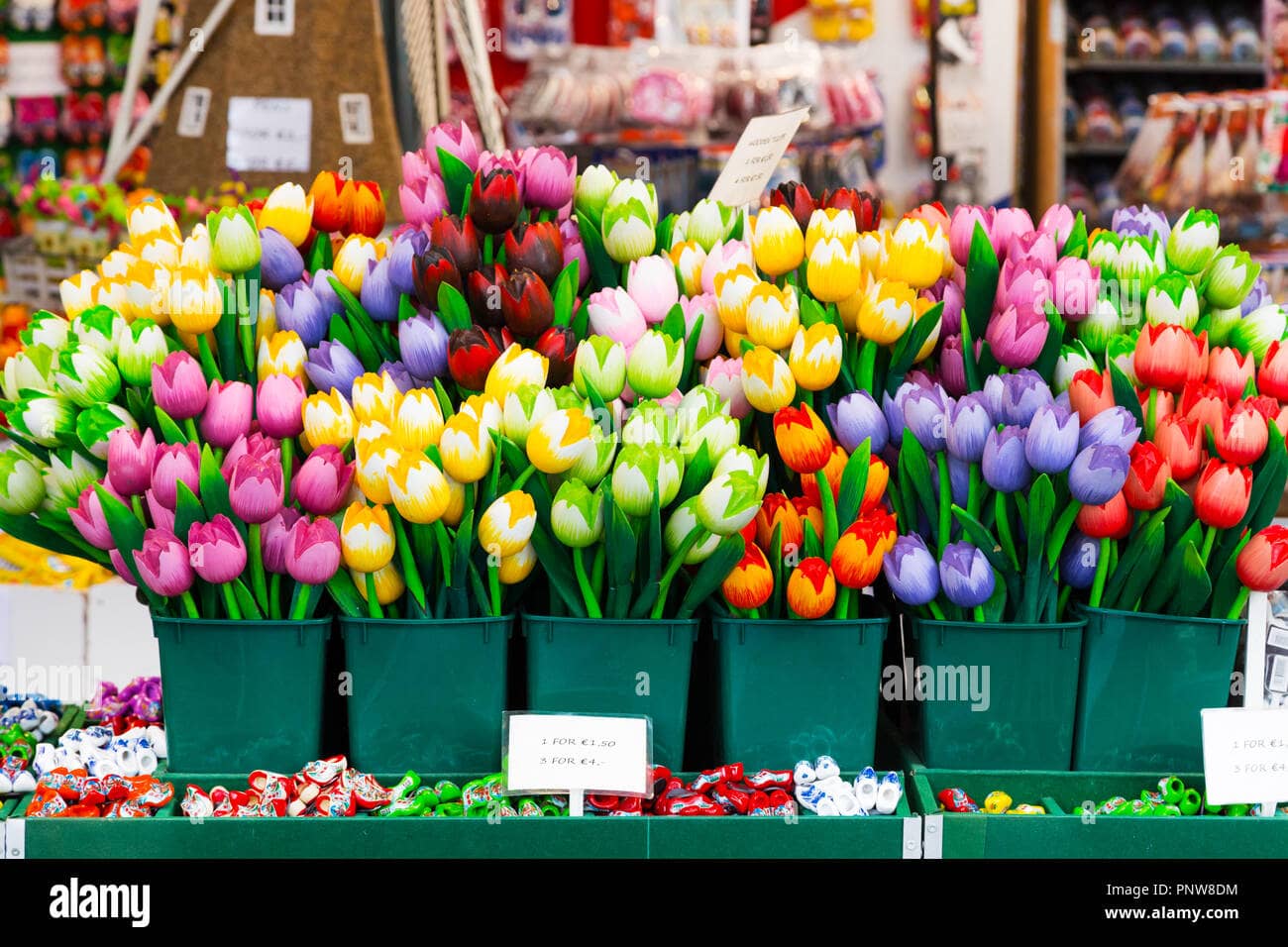 Tulip Mania Souvenirs