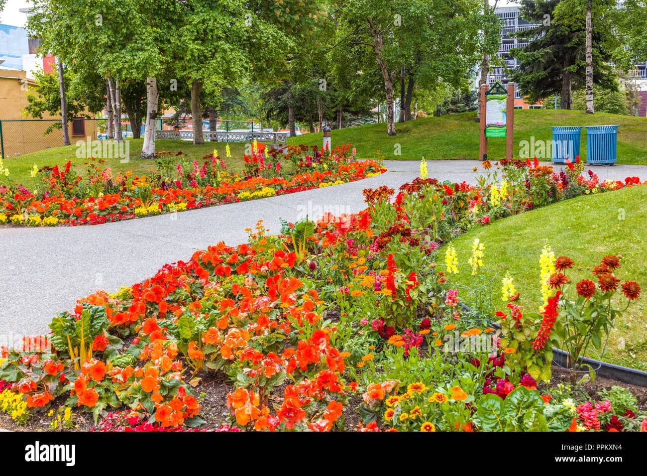 Vibrant Flower Displays
