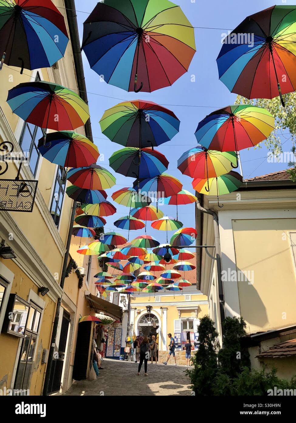Umbrella Street