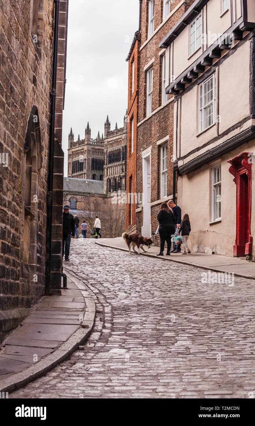 Cobblestone Charm