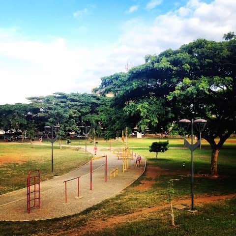 Unique Outdoor Gym