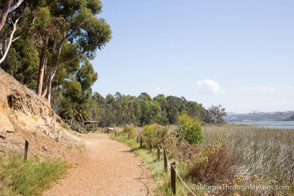 Shady Walking Trails