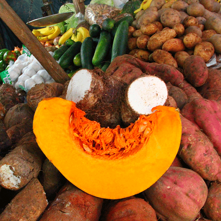Artisan Crafts & Souvenirs