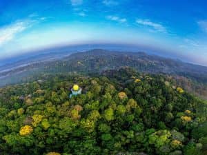 Canopy Tower Views