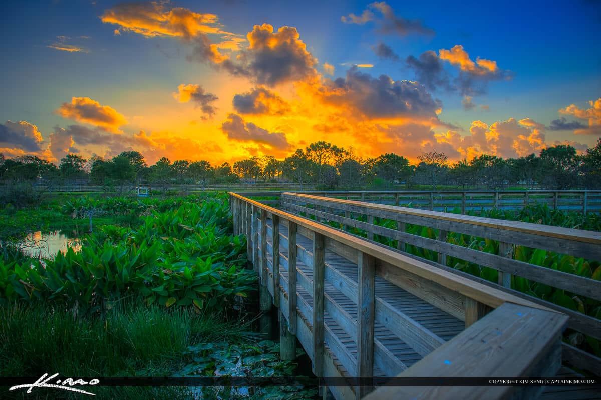 Boardwalk Trails