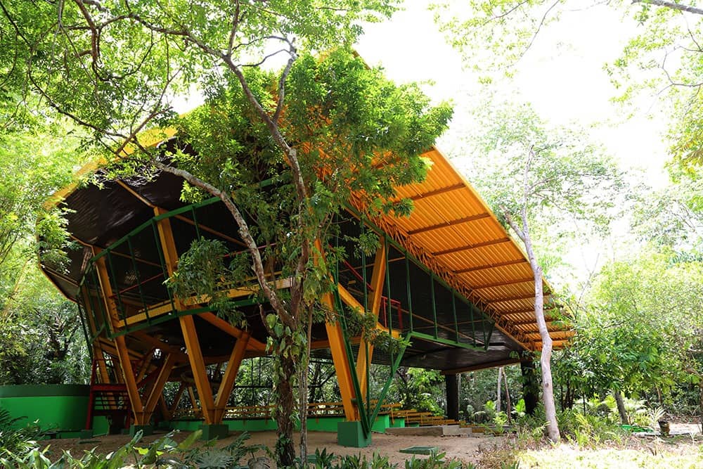 Amphitheater & Library