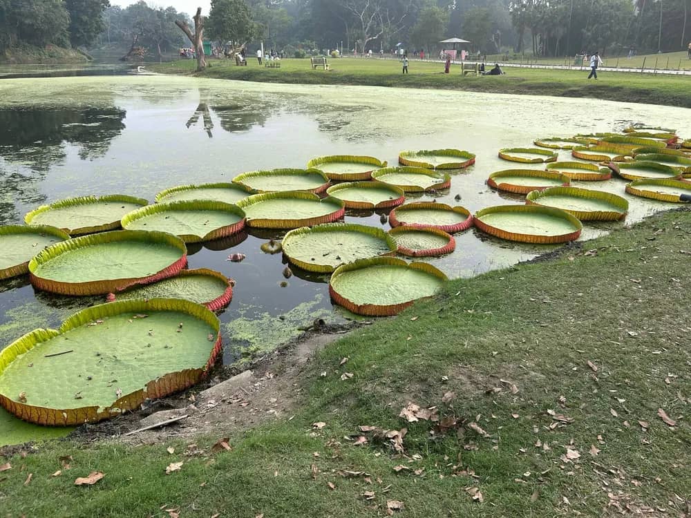 Serpentine Lake