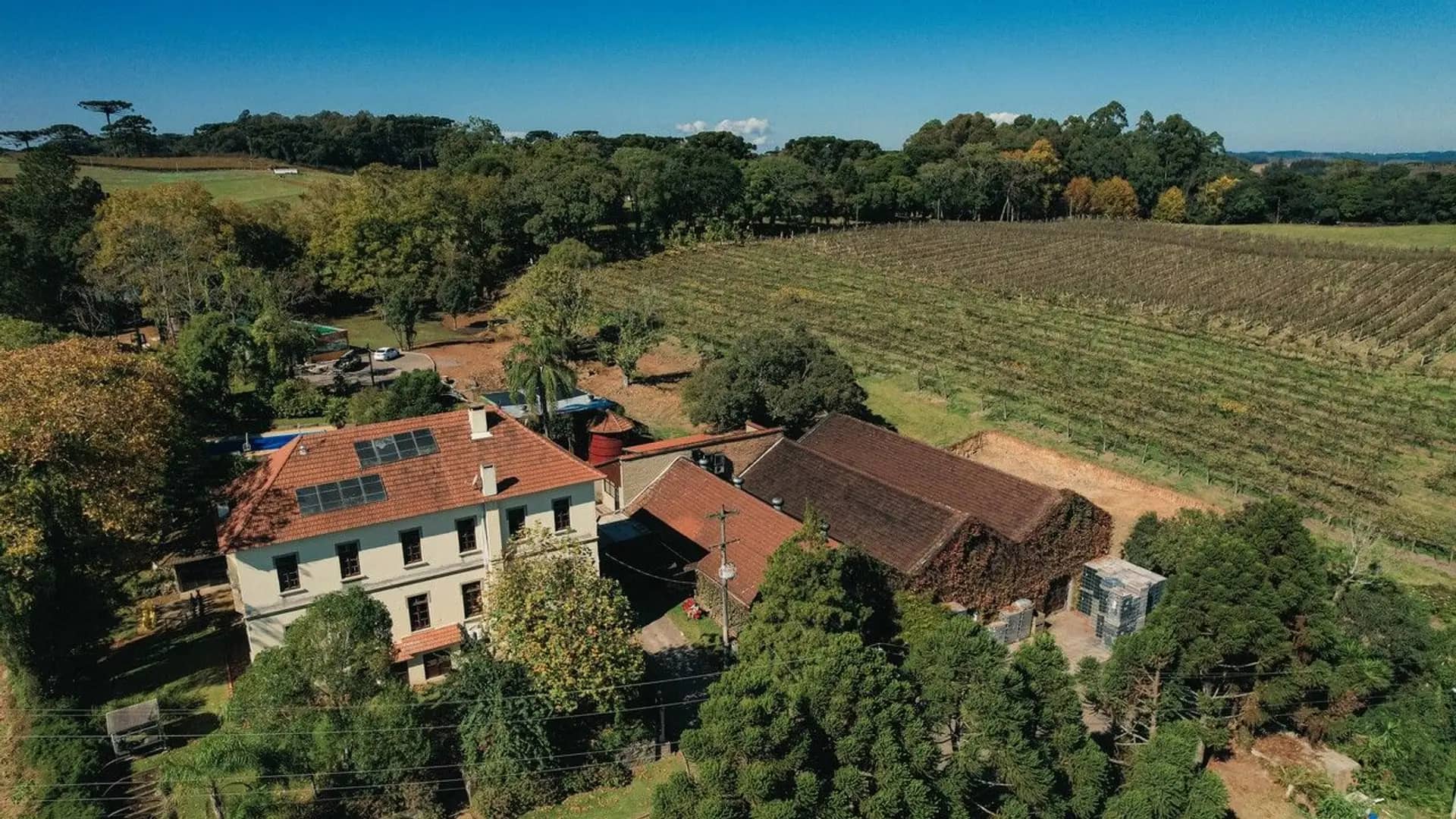 Vineyard Immersion