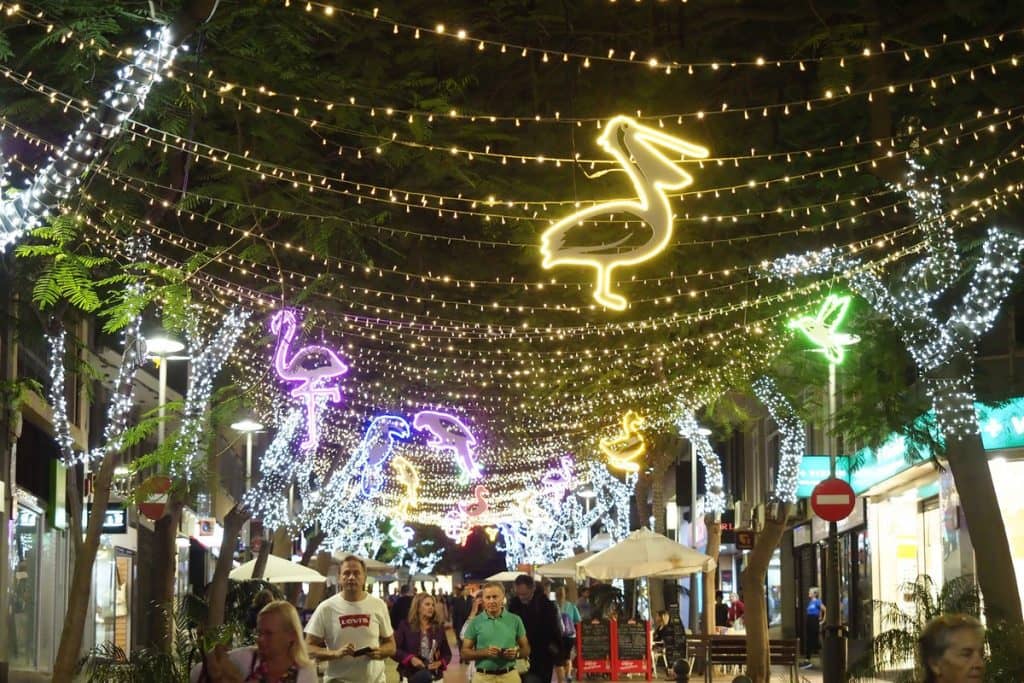 Christmas Light Displays