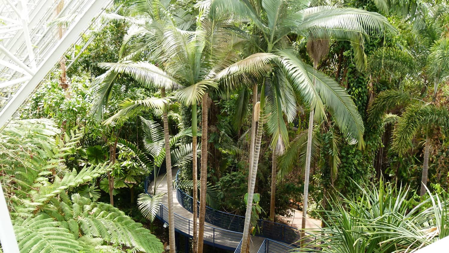 Adelaide Botanic Garden