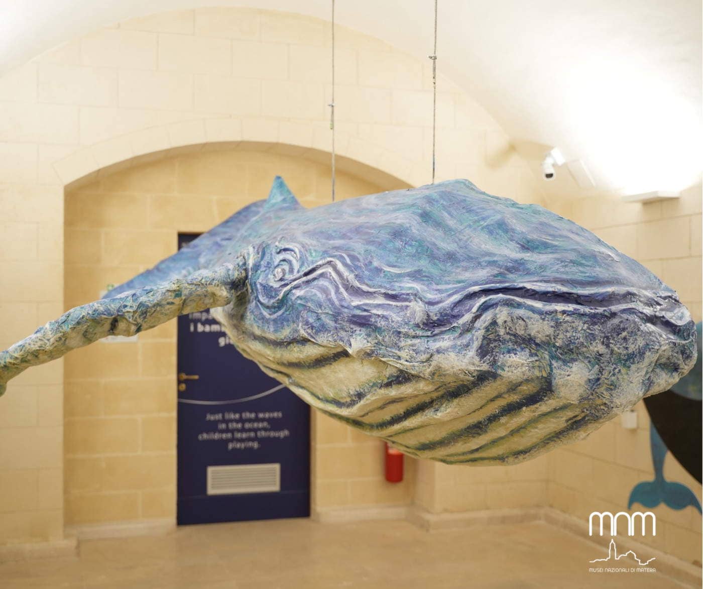 Ancient Whale Remains