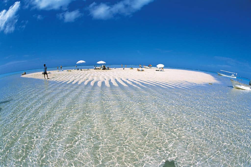 Yoron Island's Charm