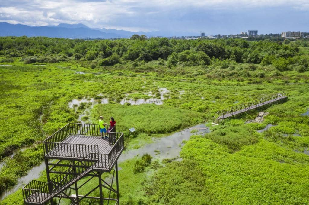 Kobuleti Protected Areas