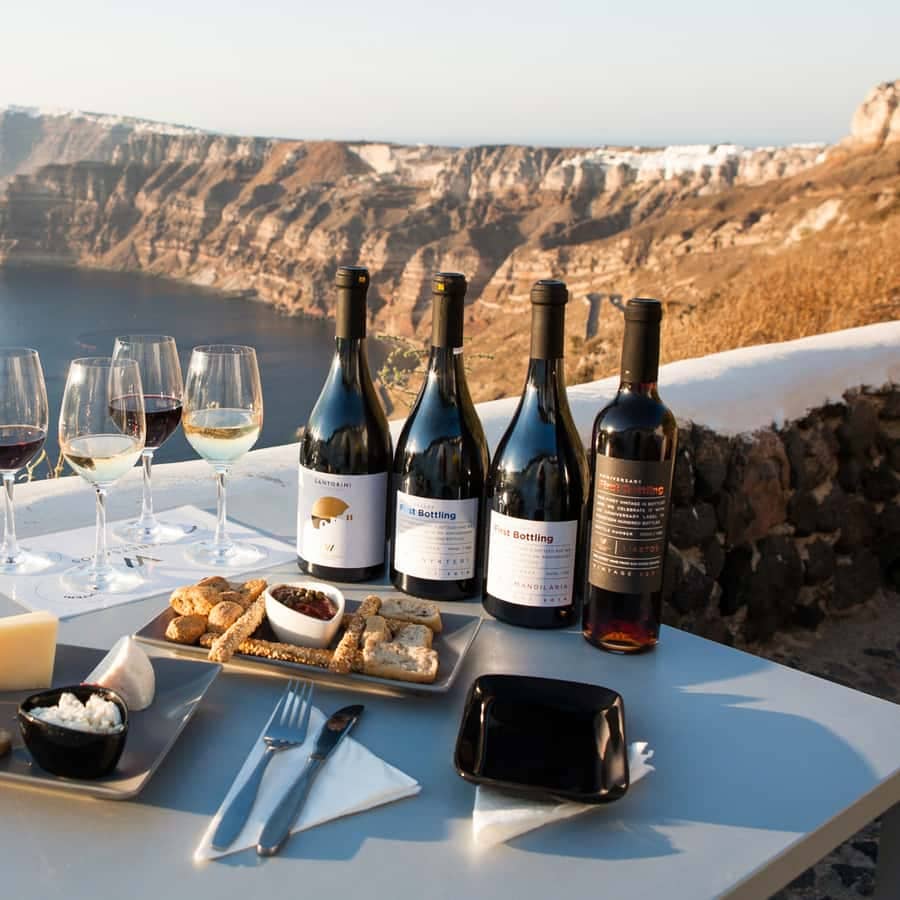 Expert-Led Wine Tours