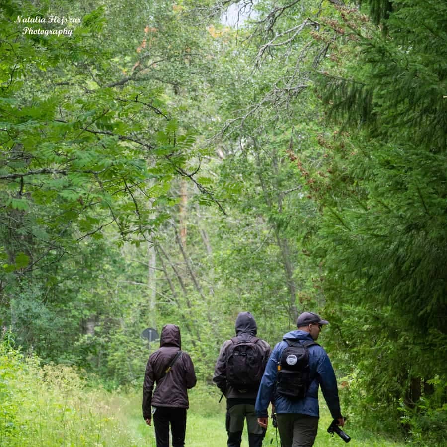 Nature Trails and Birdwatching