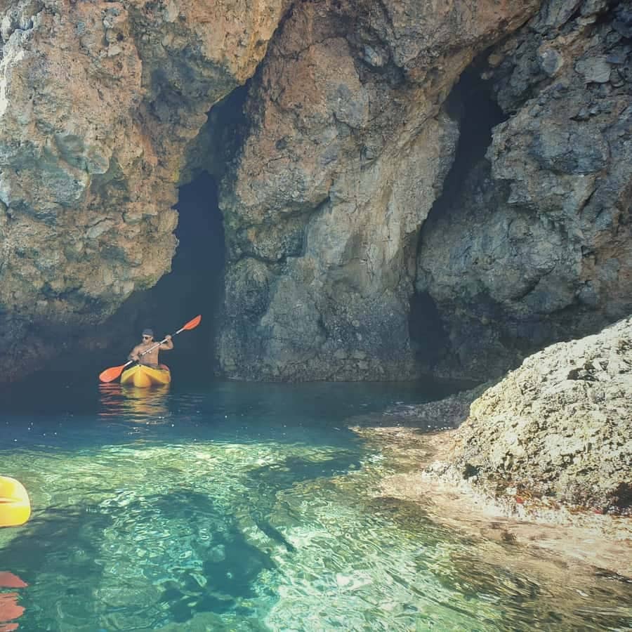 Snorkeling & Marine Life