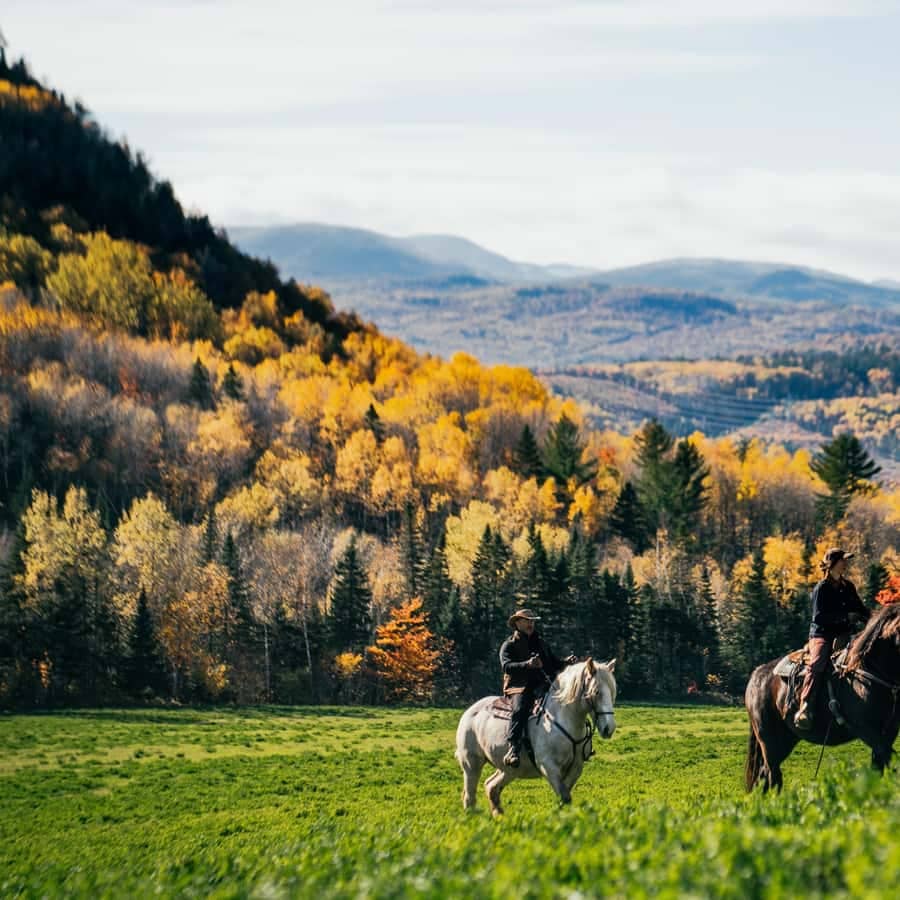 Horseback Riding in Autumn
