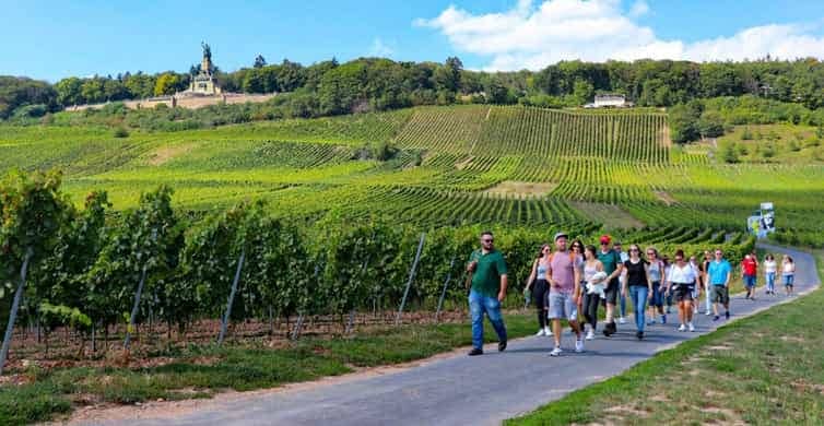 Vineyard Hikes & Wine Tasting