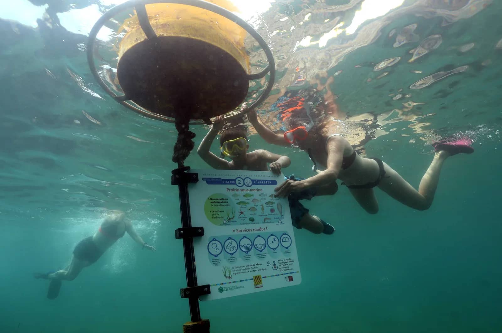 Sentier Sous-Marin de Banyuls