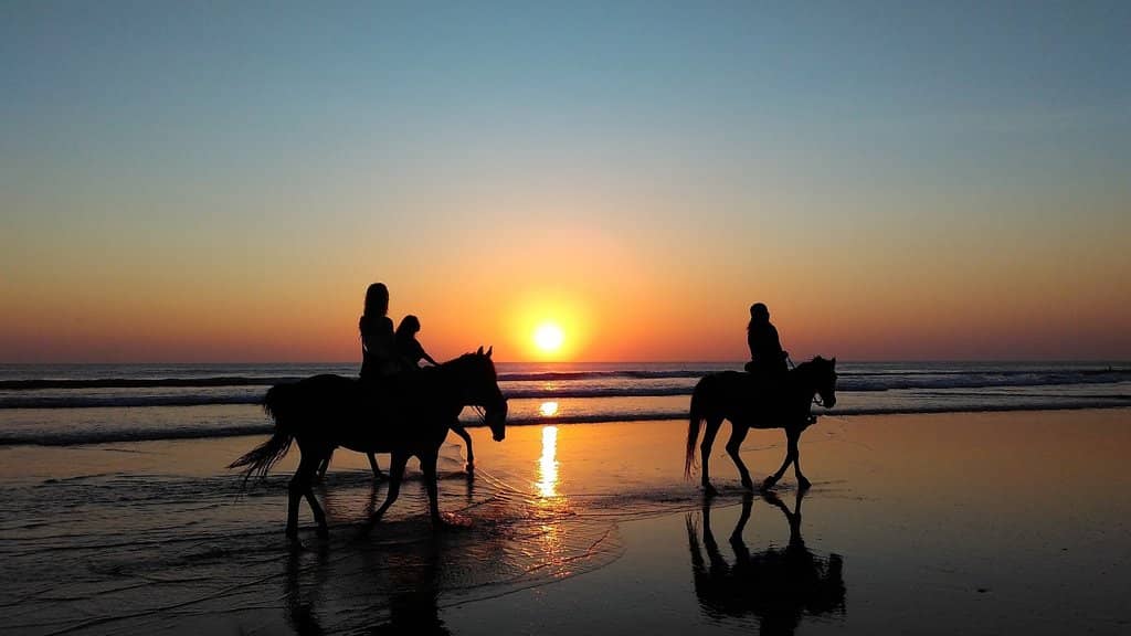 Horseback Riding on the Beach
