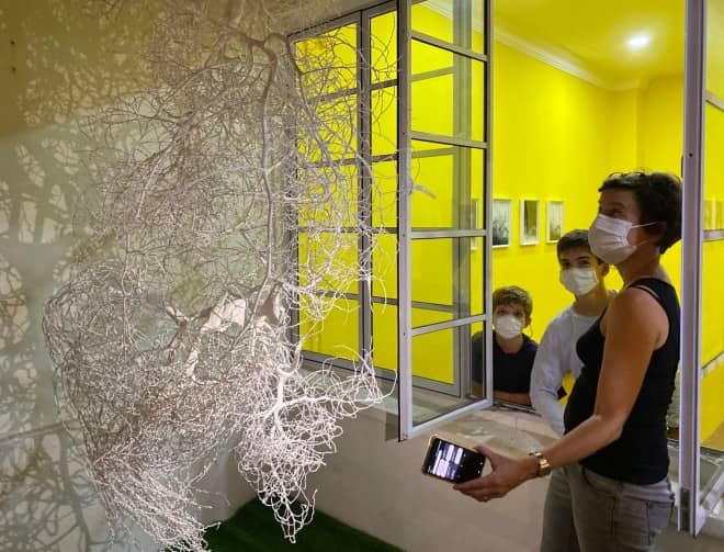 Expert Curator Conversations