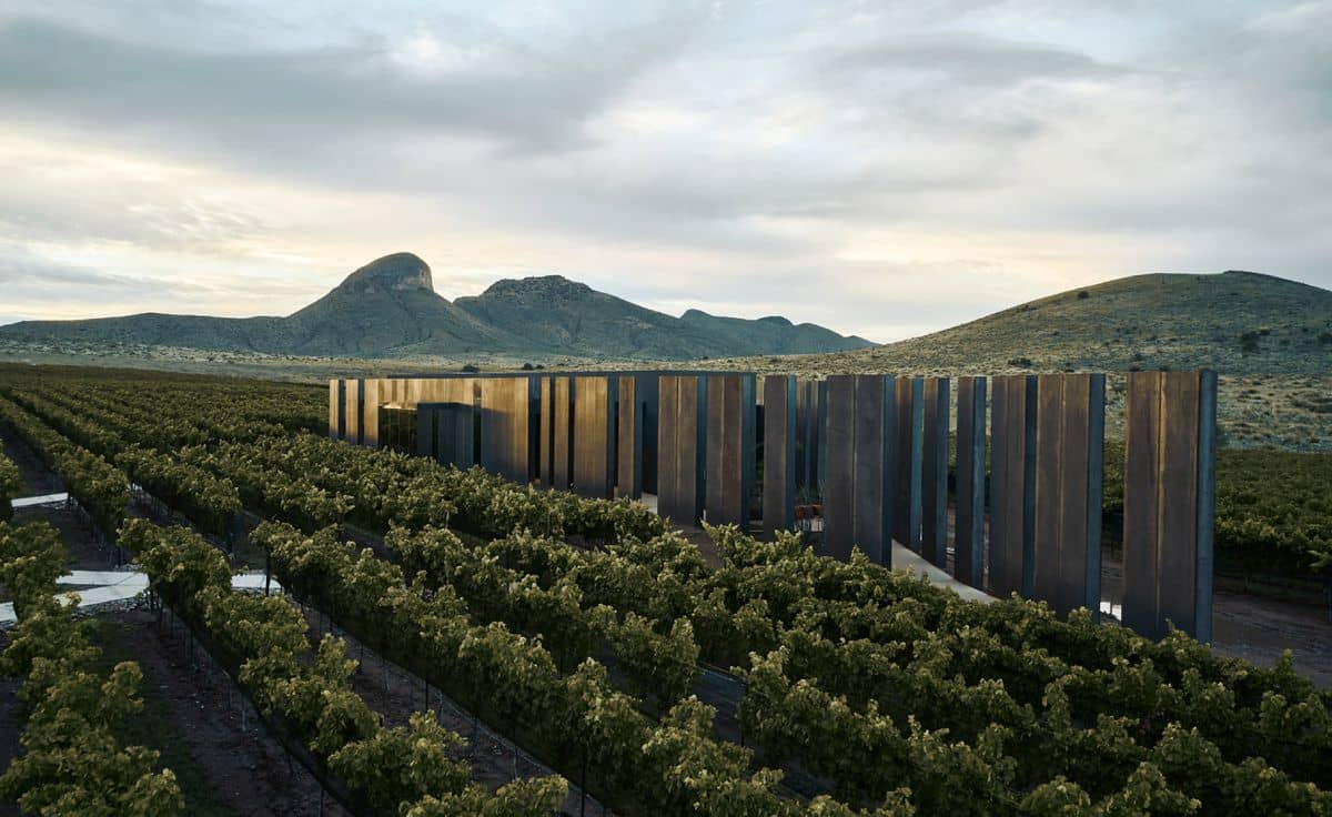 Los Milics Vineyards