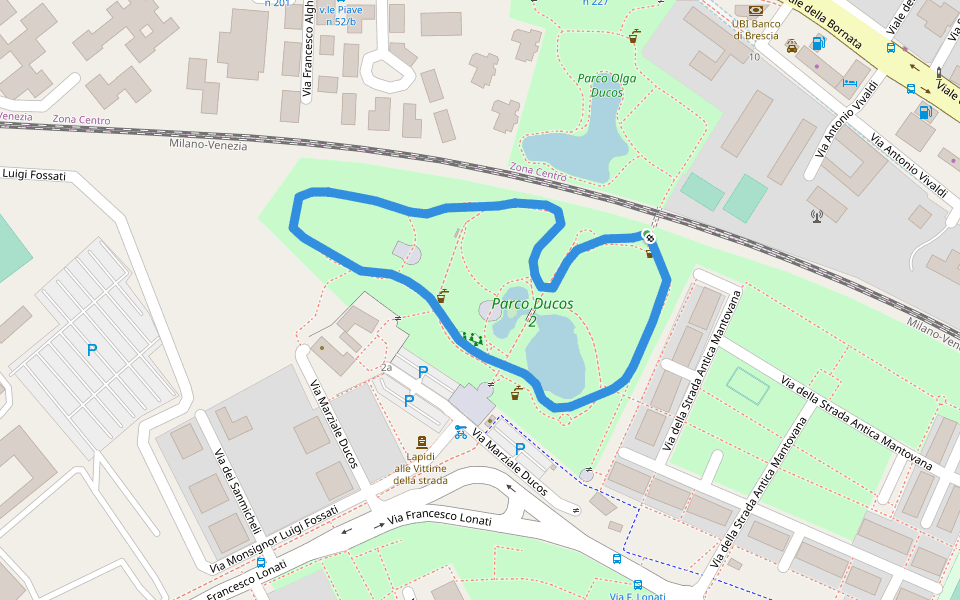 Walking Paths