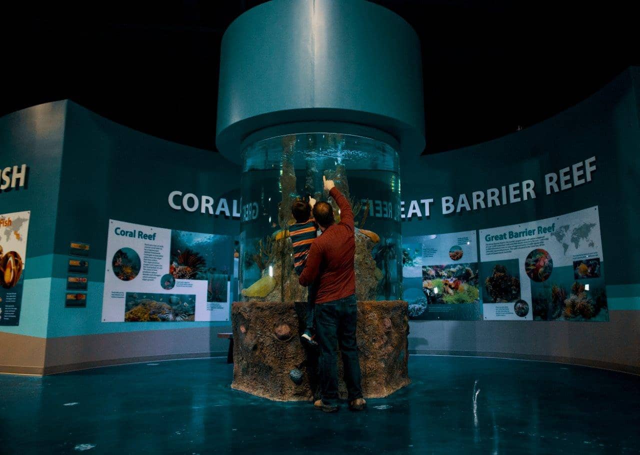 Under the Sea Adventure