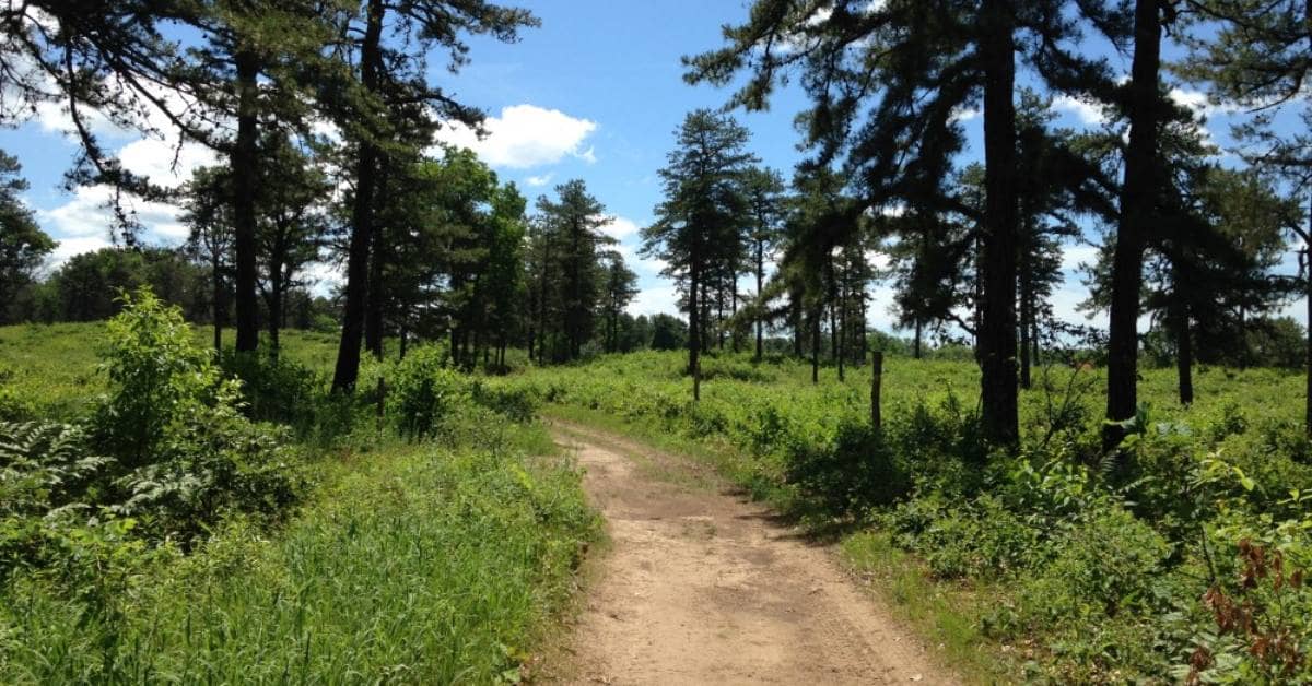 Extensive Trail Network