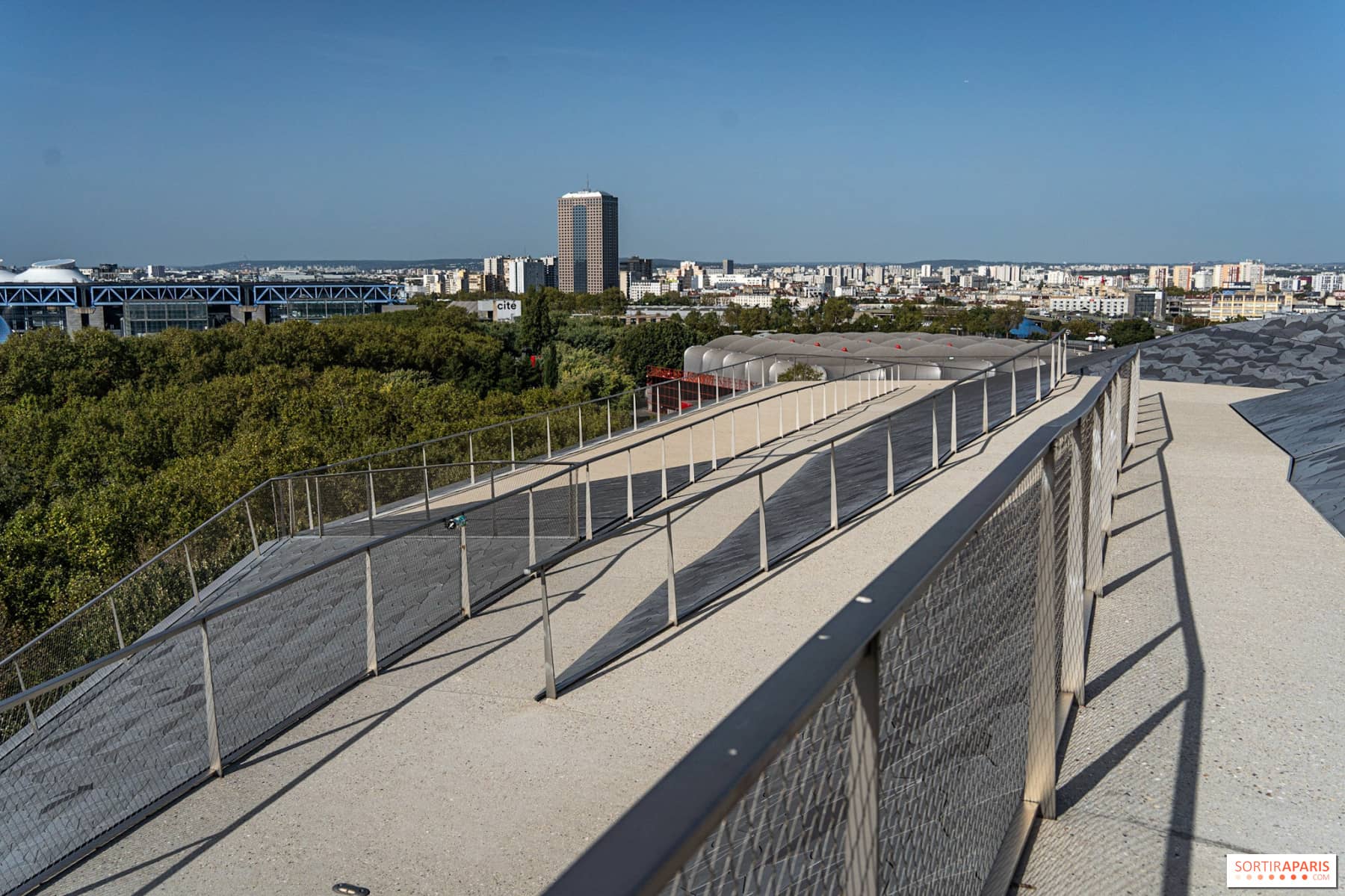 Rooftop Panoramic View