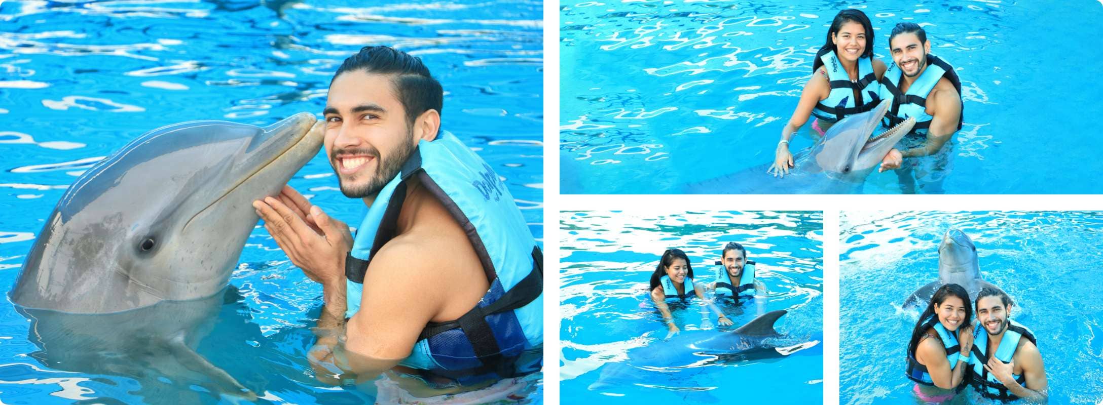 Dolphin Encounter