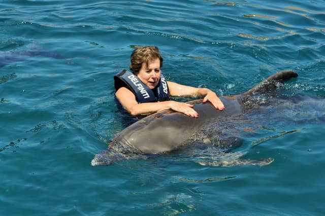 Dolphin Therapy Sessions