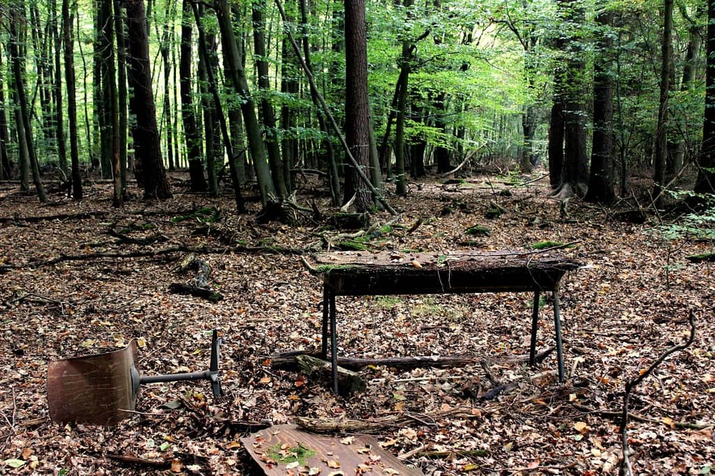 Picnic Spots
