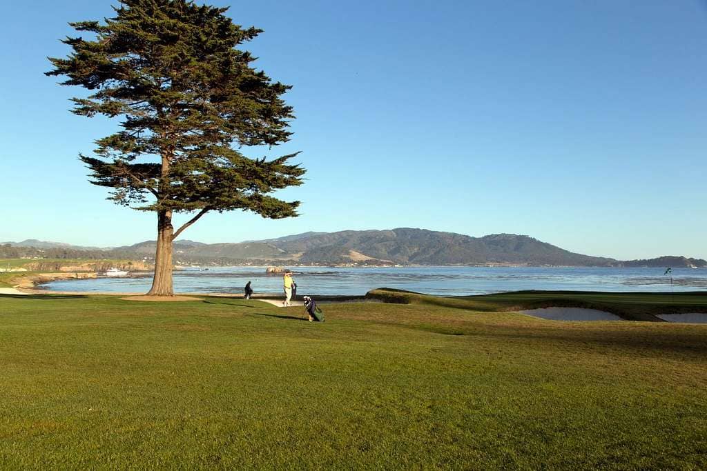 Affordable Green Fees