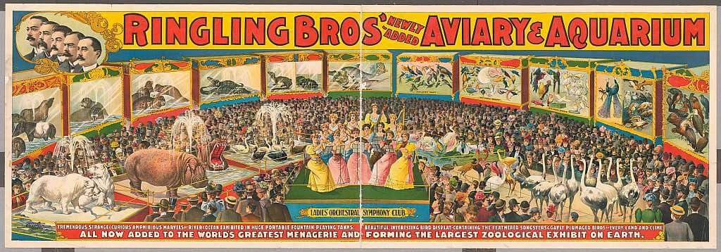 Circus Times