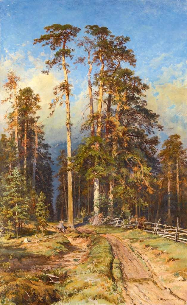 Morning in a Pine Forest