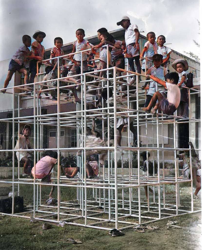 Massive Jungle Gym