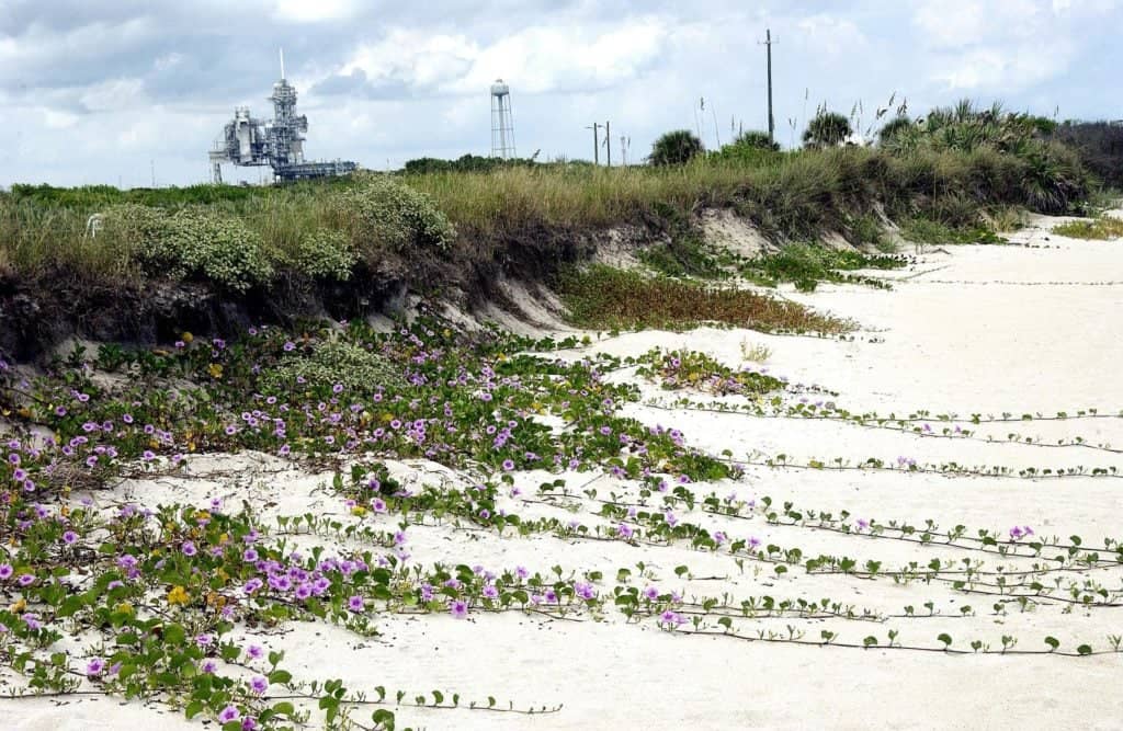 Coastal Ecosystem