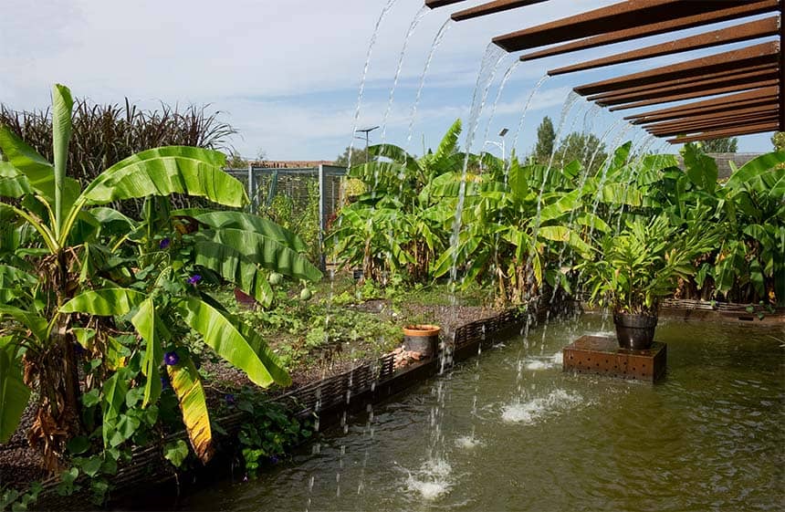 Global Plant Collections