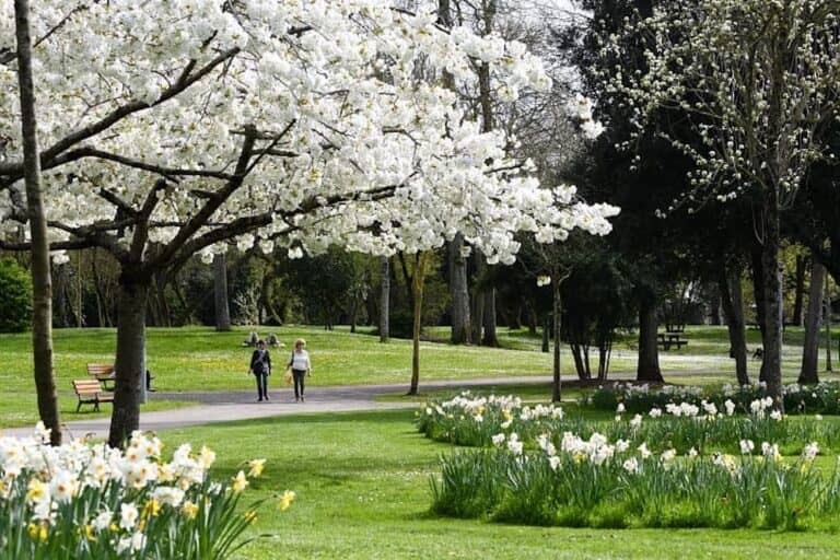 Expansive Green Lawns