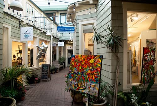Local Boutiques and Galleries