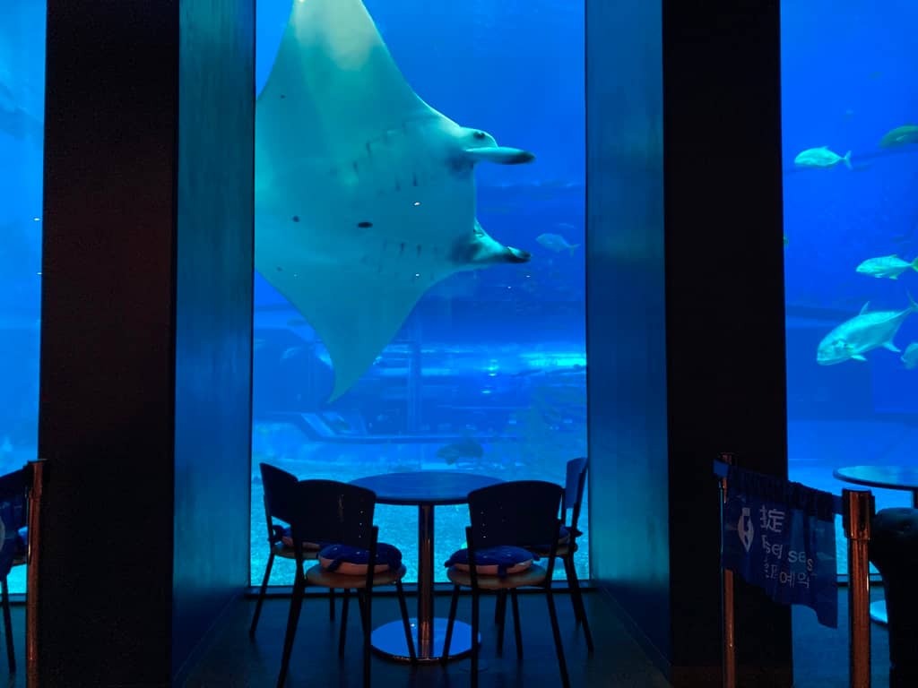 Ocean Blue Cafe