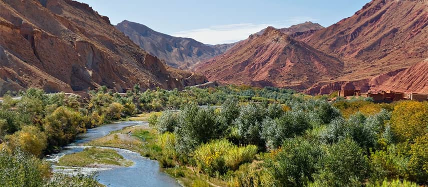 Scenic Hiking Trails