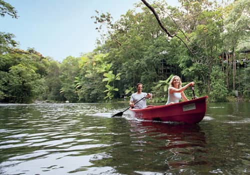 Paddleboarding Paradise
