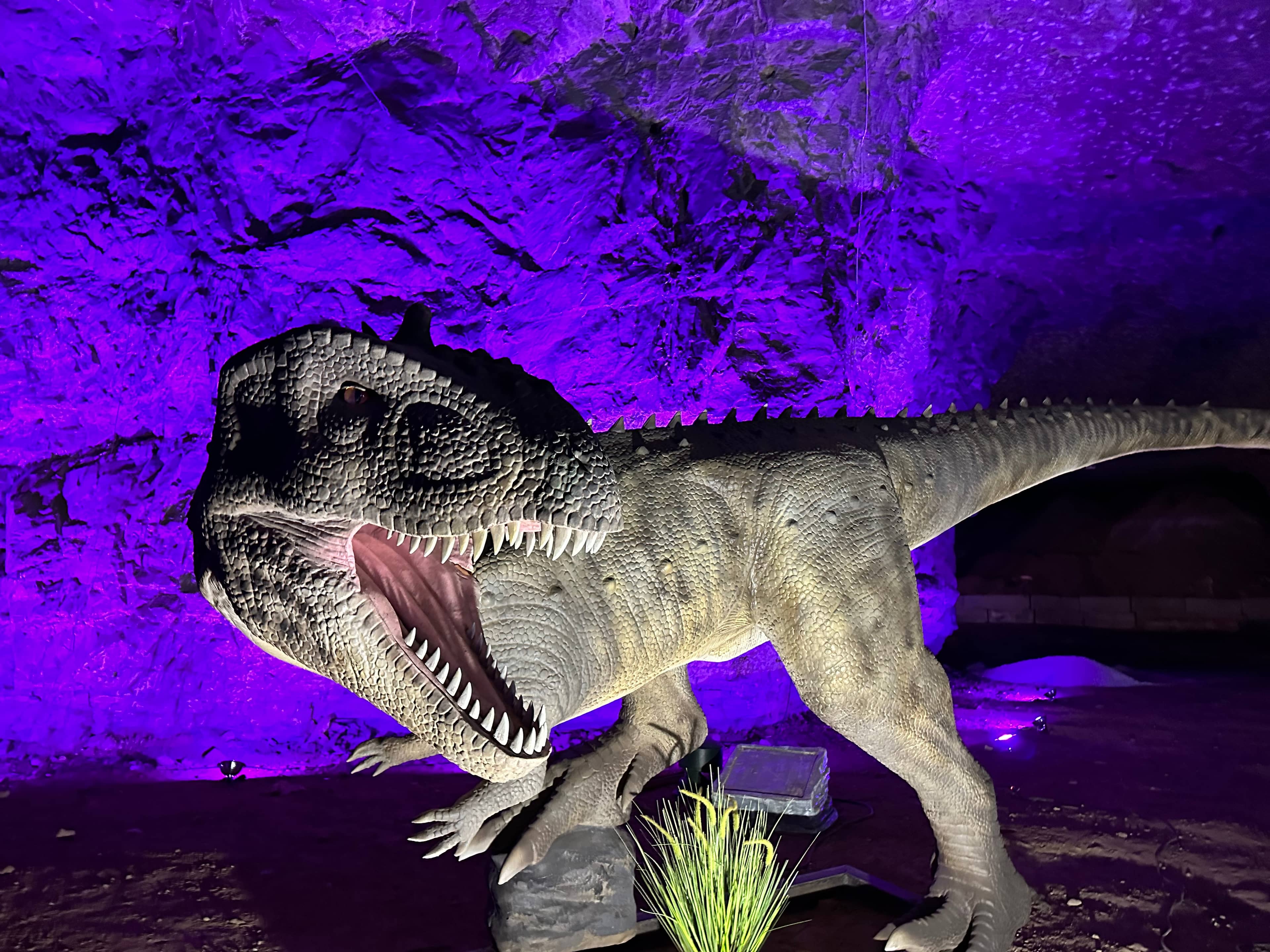 Dinos Under Louisville