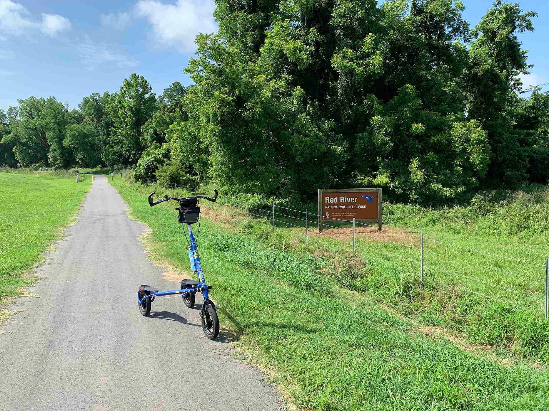 Wildlife Viewing Opportunities