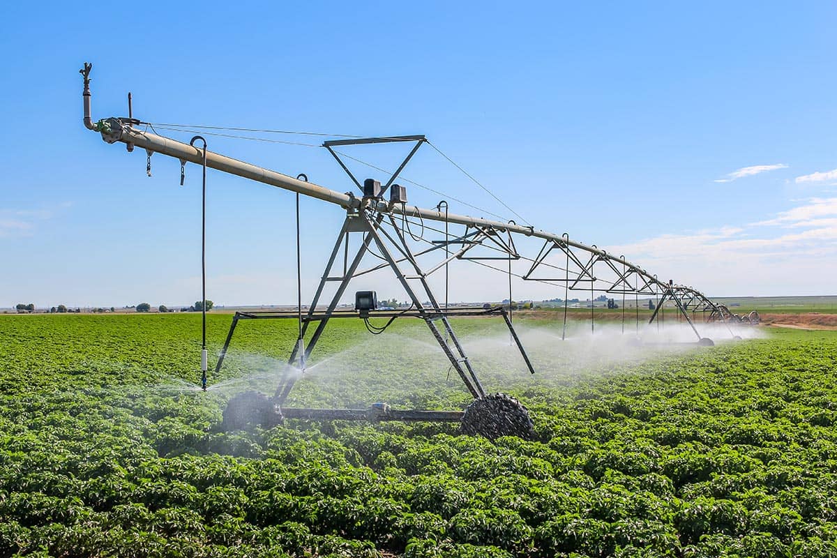 Complimentary Beer Samples